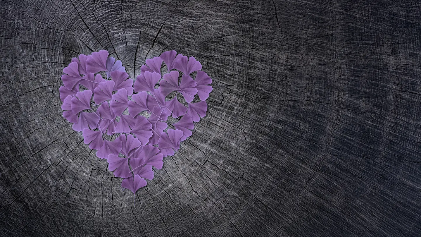 Herzförmiges Arrangement aus violetten Ginkgo-Blättern auf Holzstruktur