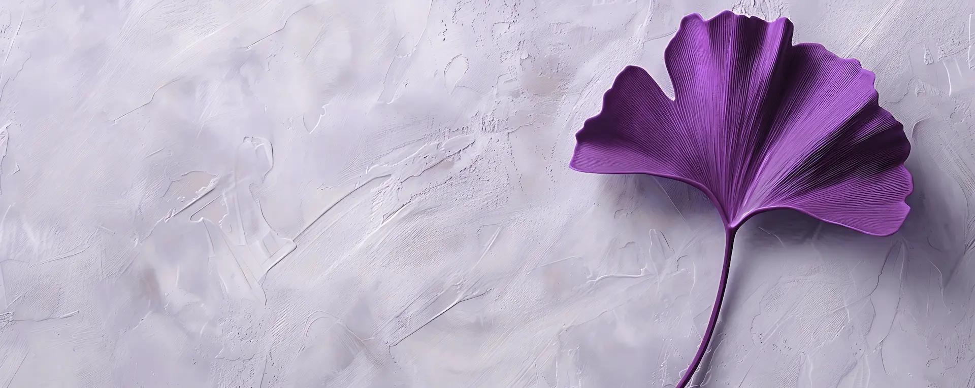 Violettes Ginkgo-Blatt vor strukturierter, heller Wand