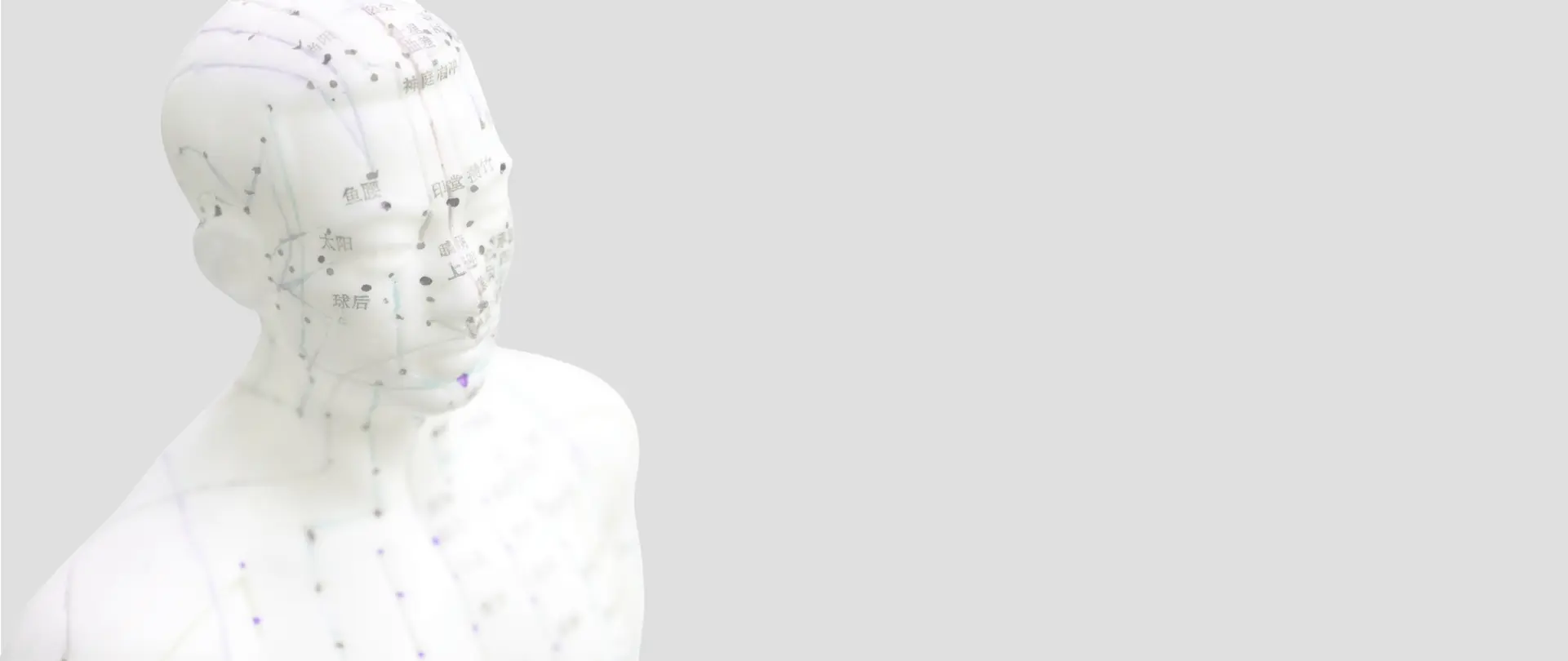 Akupunkturpunkte auf Modellkörper